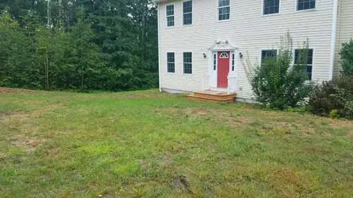 Before image